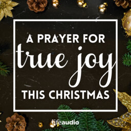 A Prayer for True Joy This Christmas