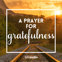 A Prayer for Gratefulness