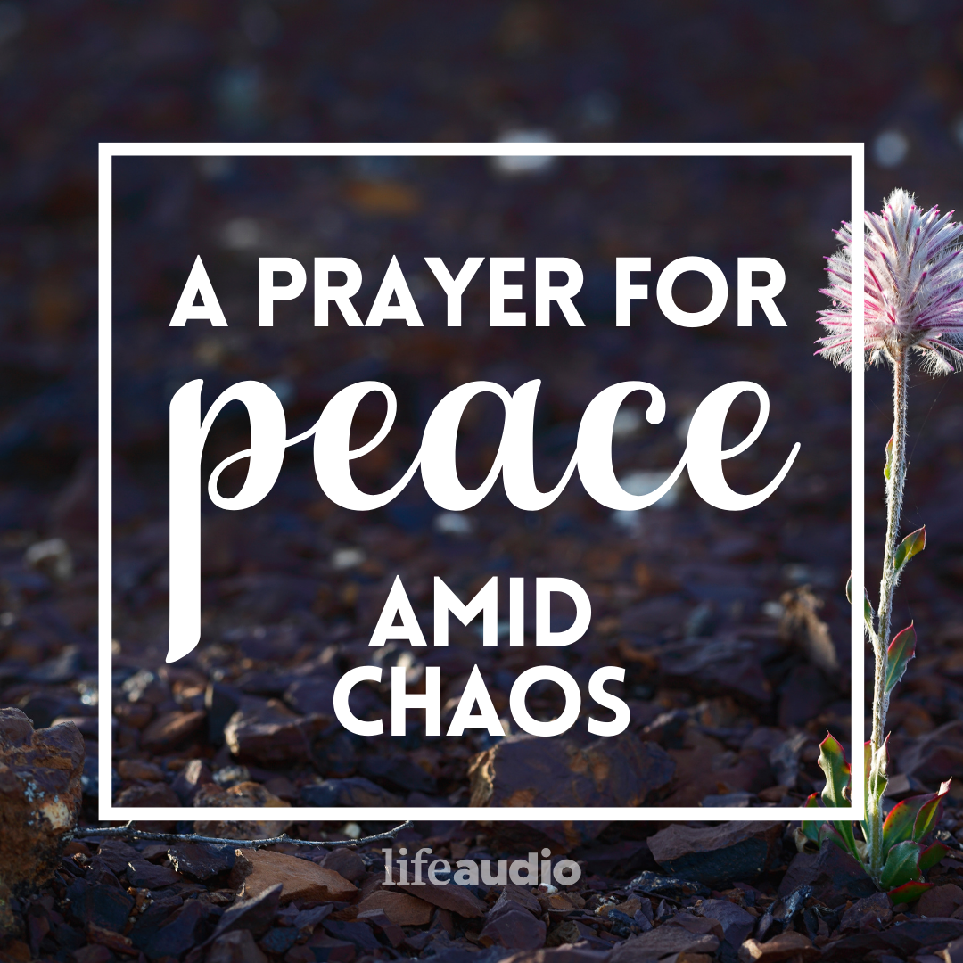 A Prayer for Peace Amid a Day of Chaos