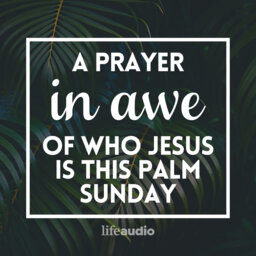 A Prayer in Awe of Who Jesus Is This Palm Sunday