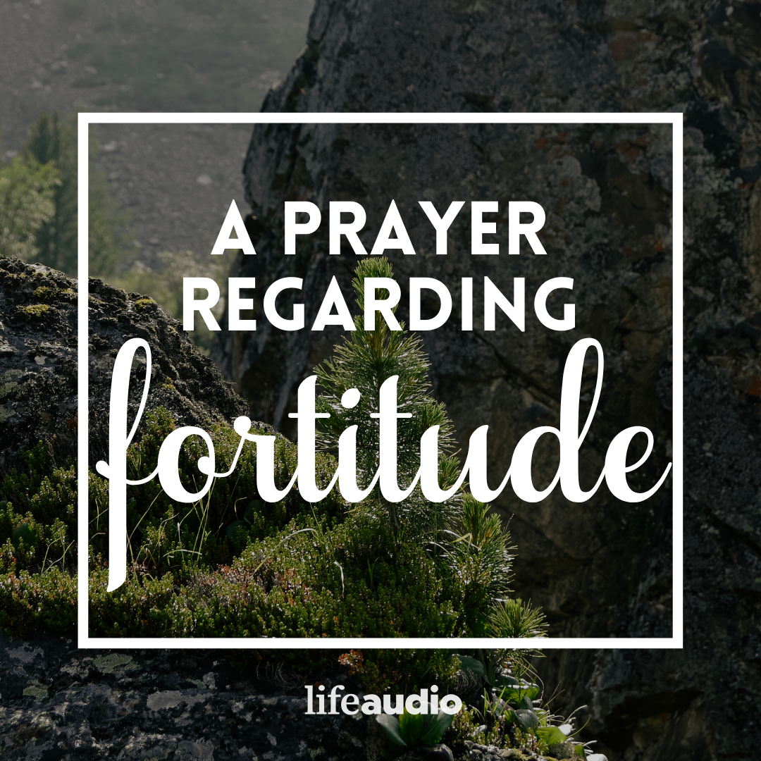 A Prayer Regarding Fortitude