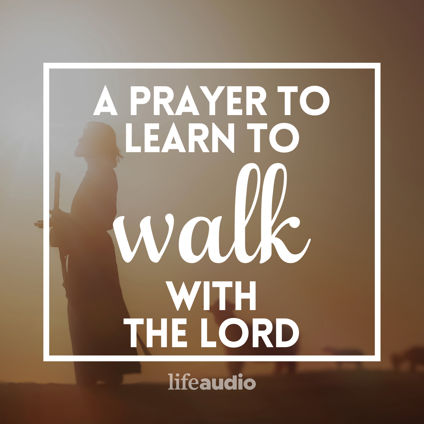A Prayer to Learn to Walk with the Lord