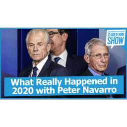 What Really Happened in 2020 with Peter Navarro