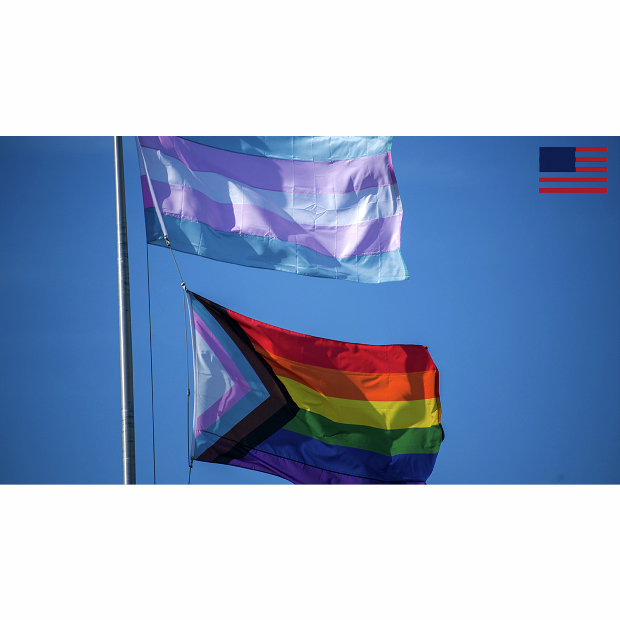 Protecting Your Kids From the Rainbow Mafia