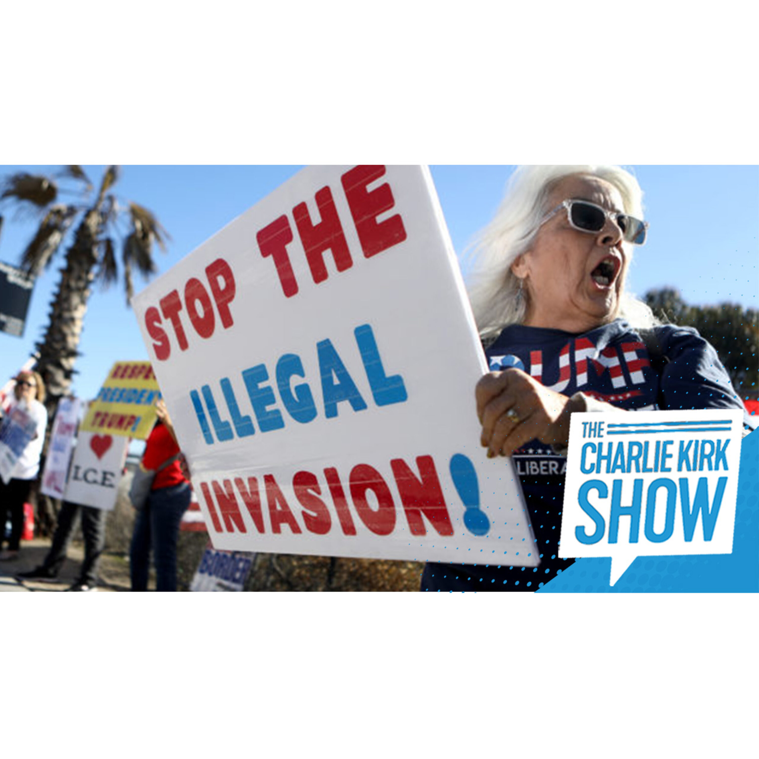 The Most Comprehensive Overview of the Illegal Alien Invasion