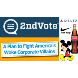 A Plan to Fight America's Woke Corporate Villains
