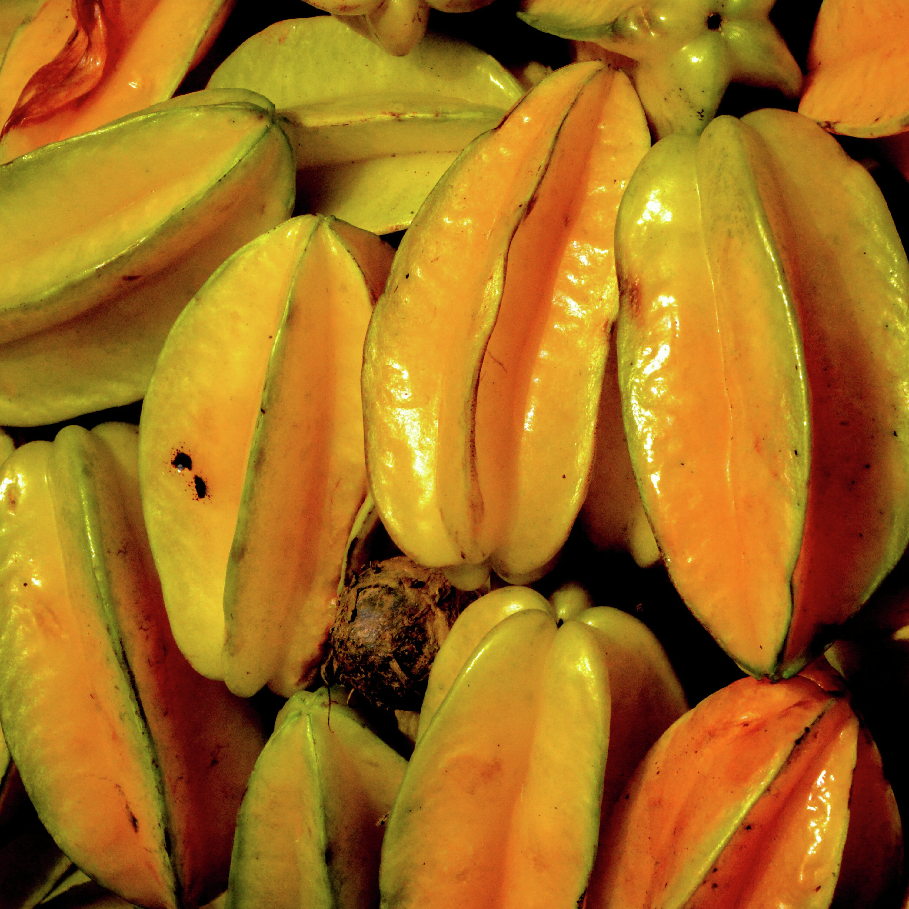 JENE'S TROPICALS -STARFRUIT: THE SUPERHERO OF BACKYARD FRUIT TREES episode artwork