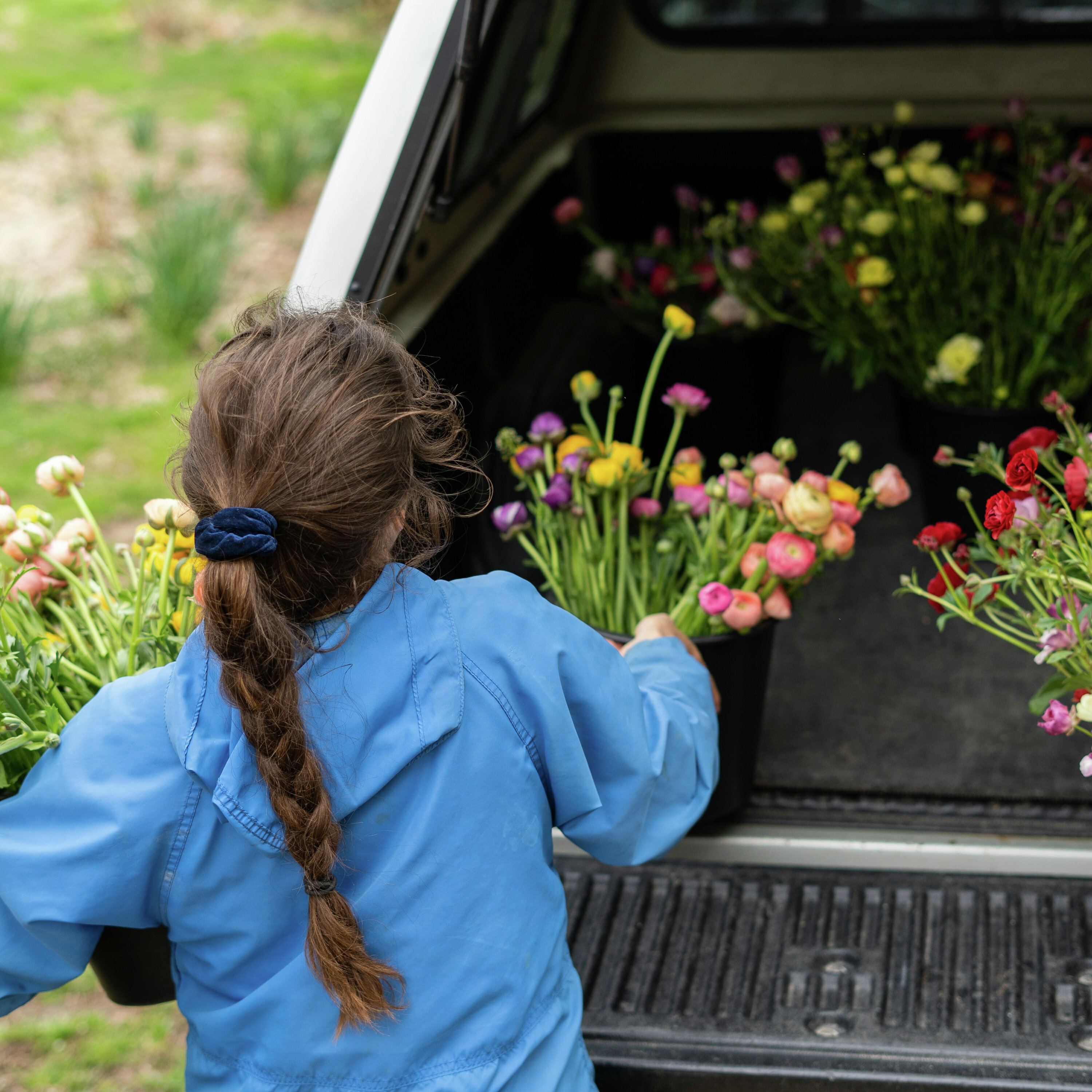 JENE'S TROPICALS - FLOWER GARDEN FOR MOM - A BLOOMING GOOD TIME episode artwork