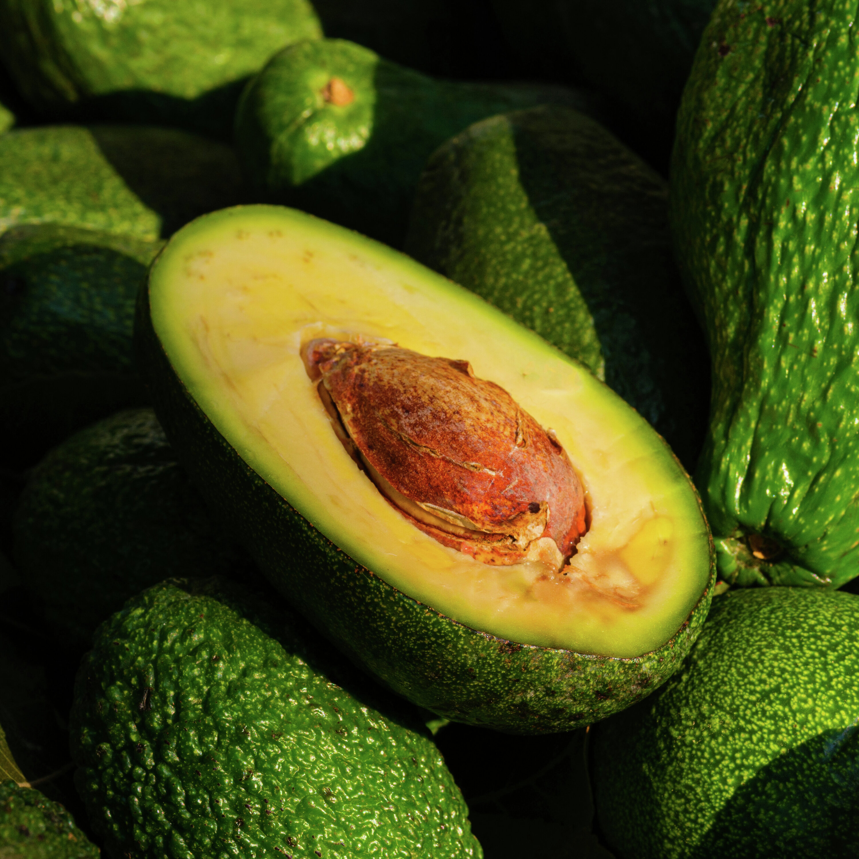 JENE'S TROPICALS - AVOCADOS - DON'T WORRY, IT'S JUST SHED! episode artwork