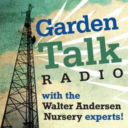 GARDEN TALK | 11.05.22