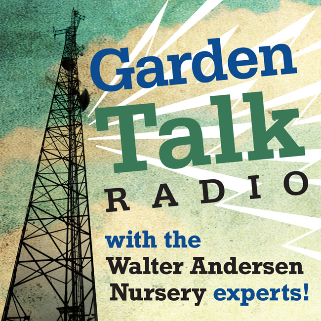 GARDEN TALK | 08.06.22