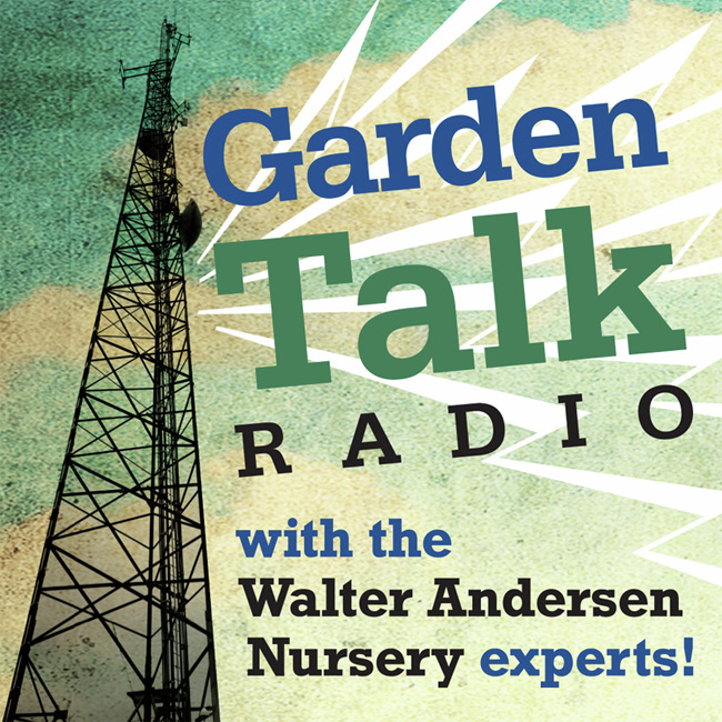 GARDEN TALK | 01.10.26