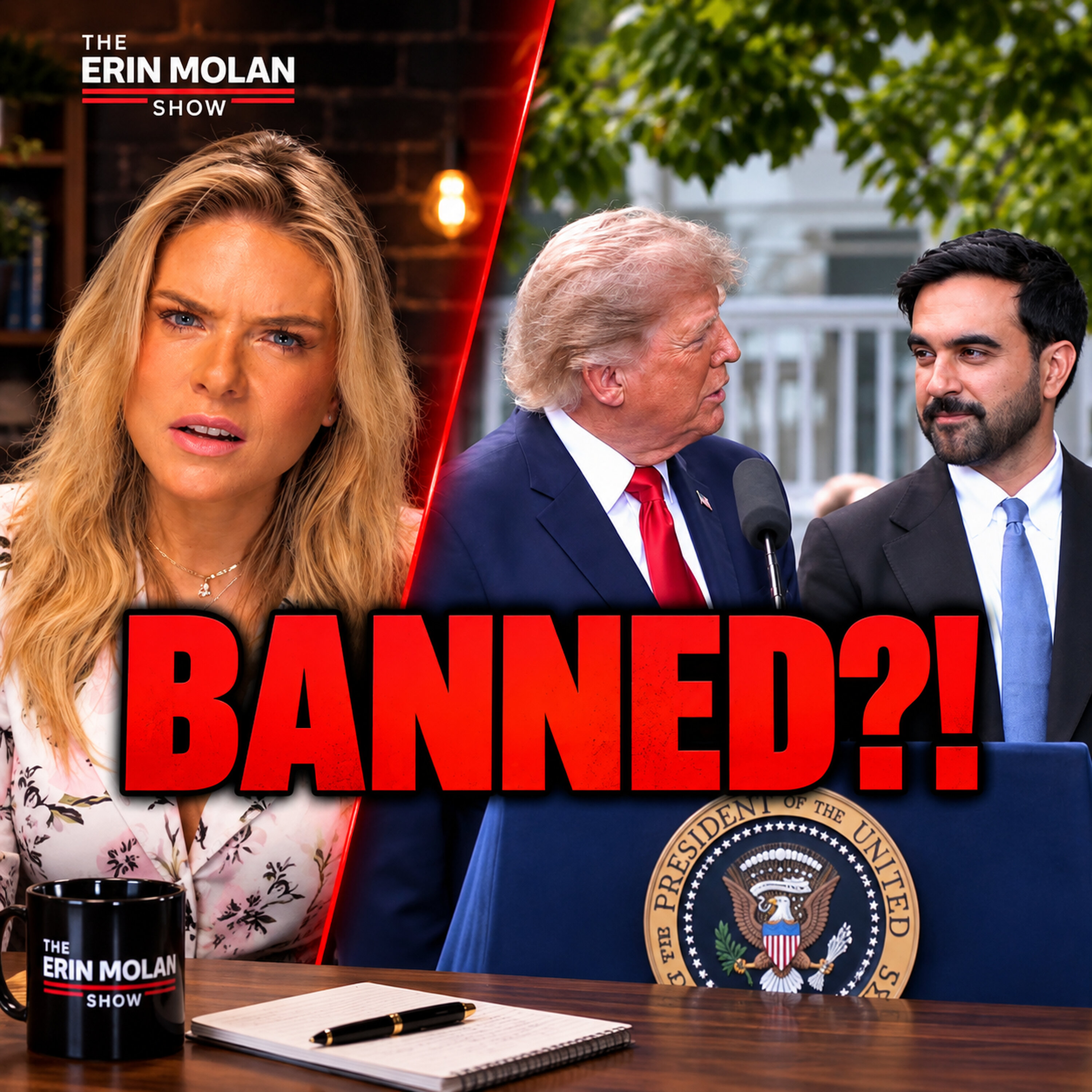 The Most SURREAL Trump & Mamdani Moment Yet… My Take!