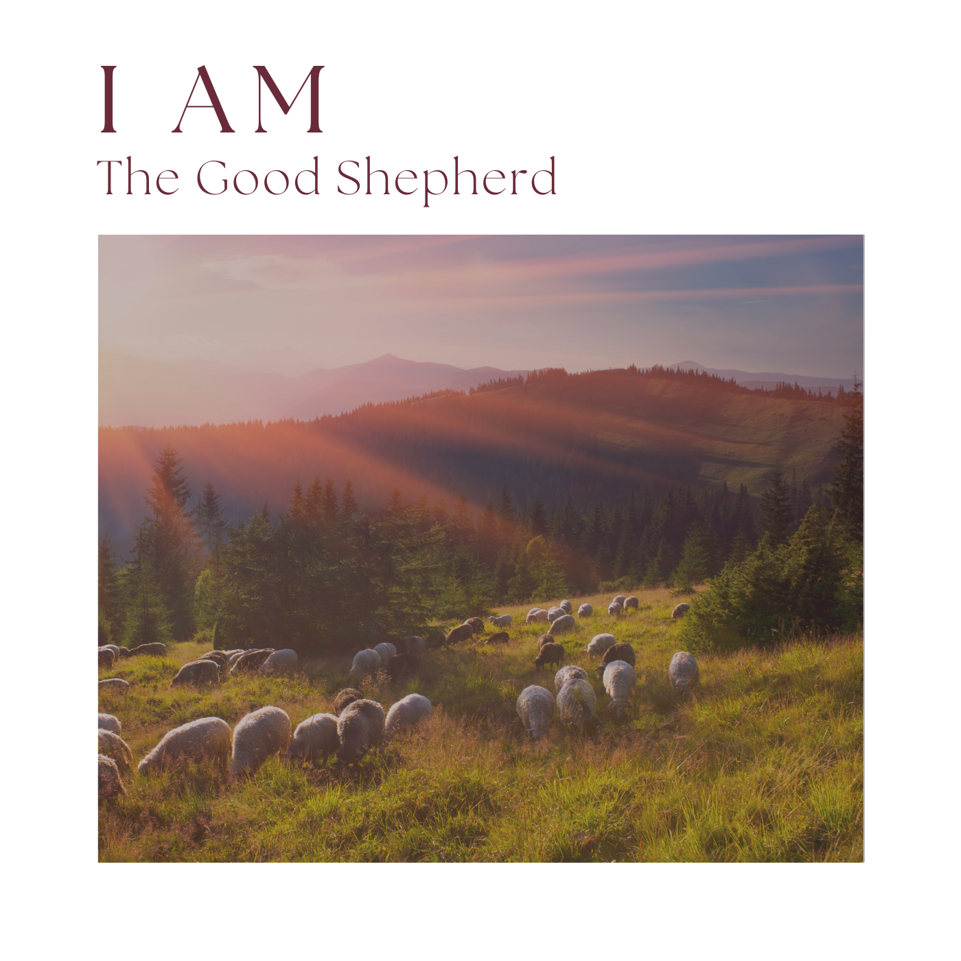 I AM the Good Shepherd | John 10:11-15