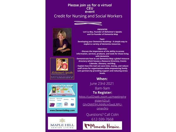 Dementia & Intrigue: A  Book For Middle School Age Kids