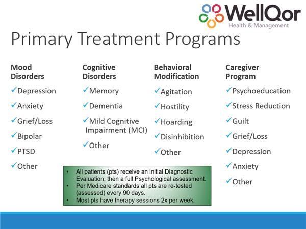 Enhancing the Mental Health of Our Seniors and those with Dementia