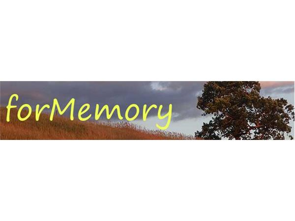 Another Brilliant Voice of Someone Living With Dementia - Mary Kay Baum