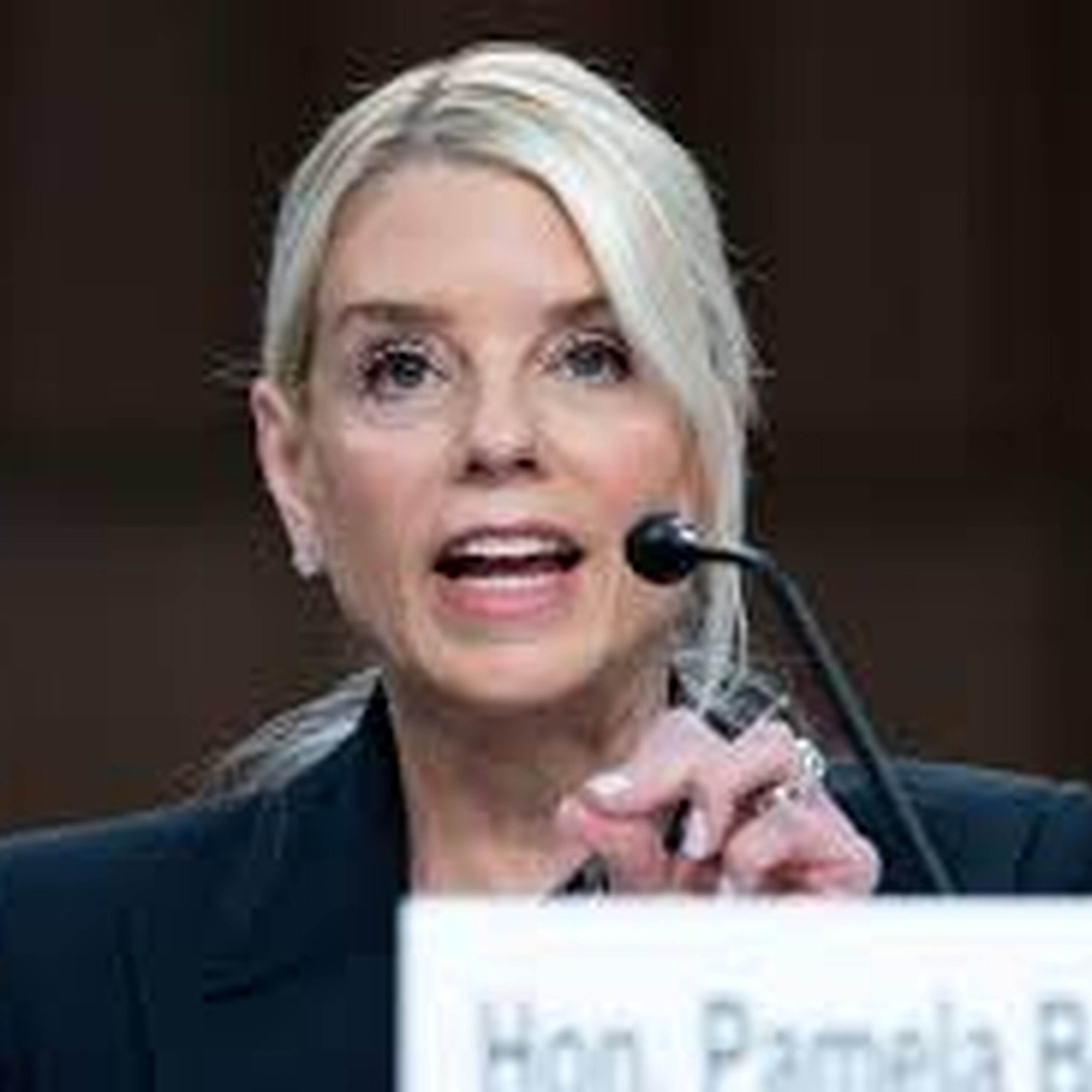 Bondi Tears Into Illinois Senator Bondi Tears Into Illinois Senator