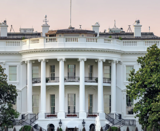 Trump Eliminating all DEI Staffers from Government