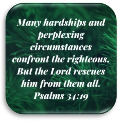 DISAPPOINTMENT  06-03-26