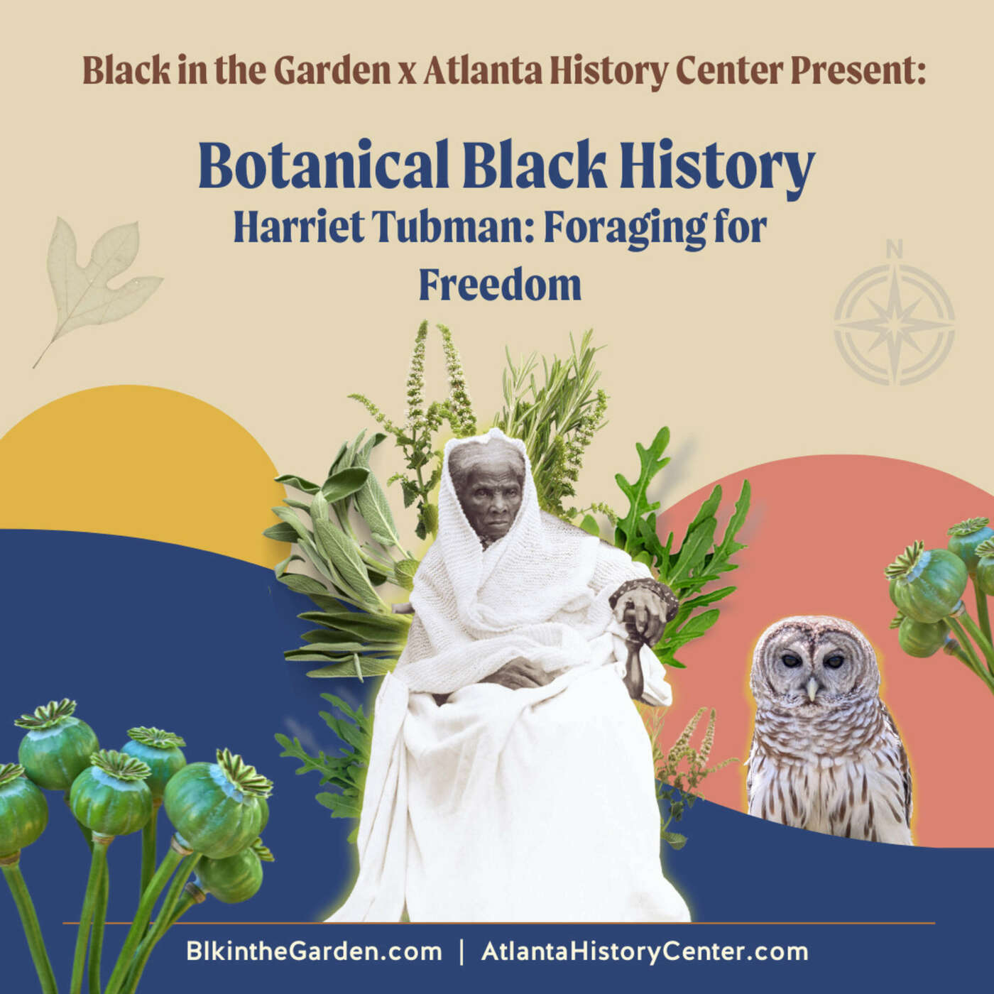 Black in the Garden