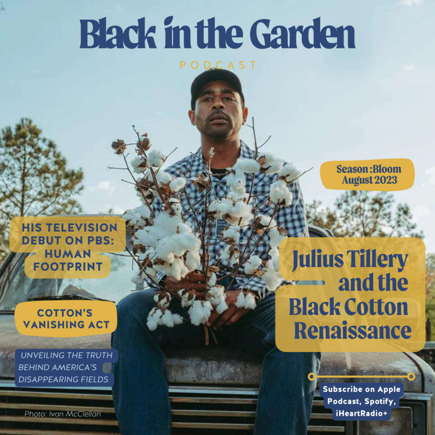 Black in the Garden