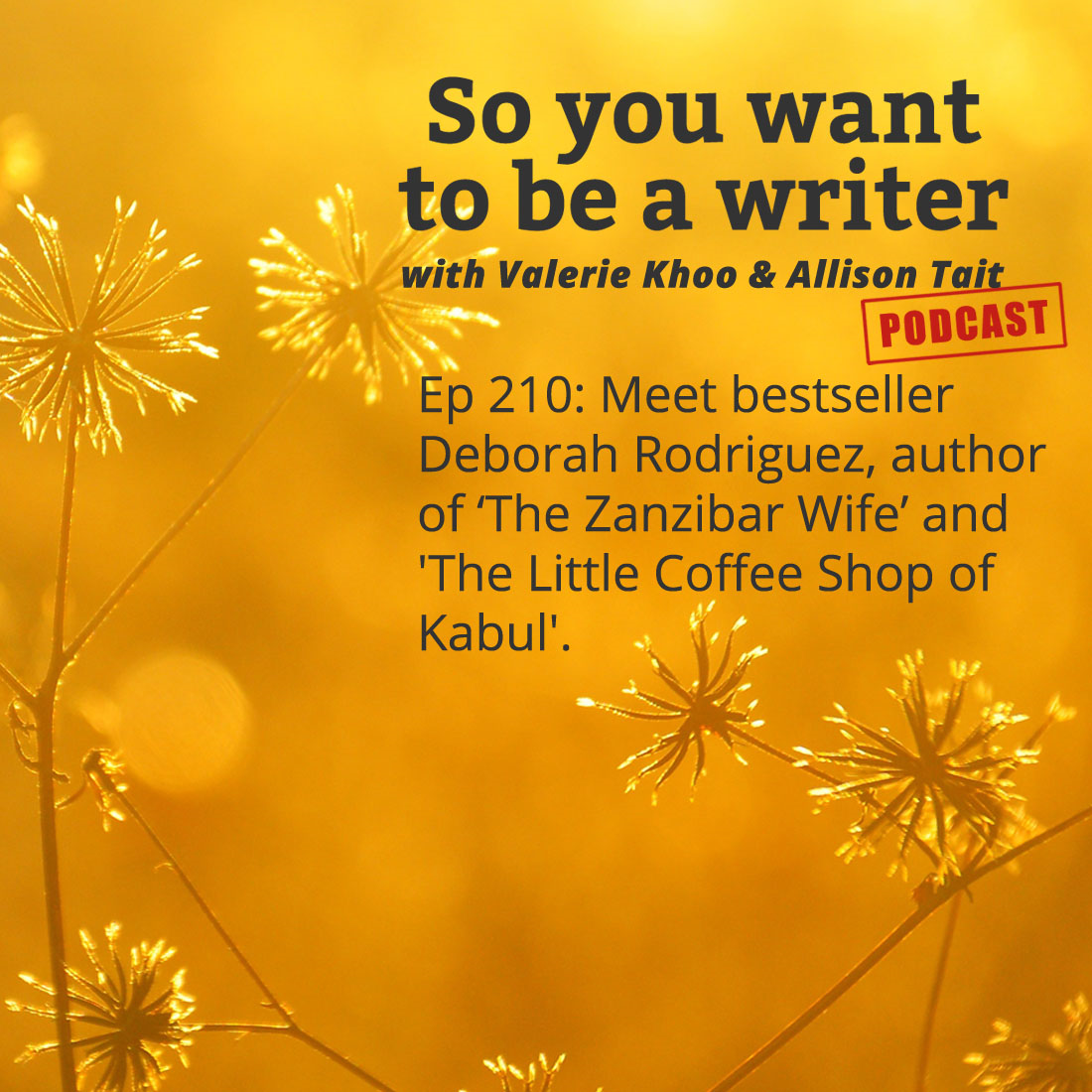 So You Want to be a Writer