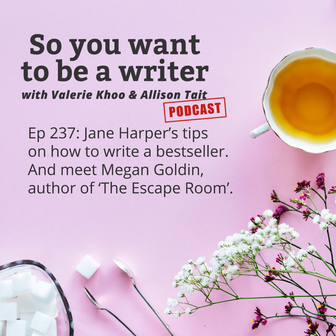 WRITER 237: Meet Megan Goldin, author of 'The Escape Room'