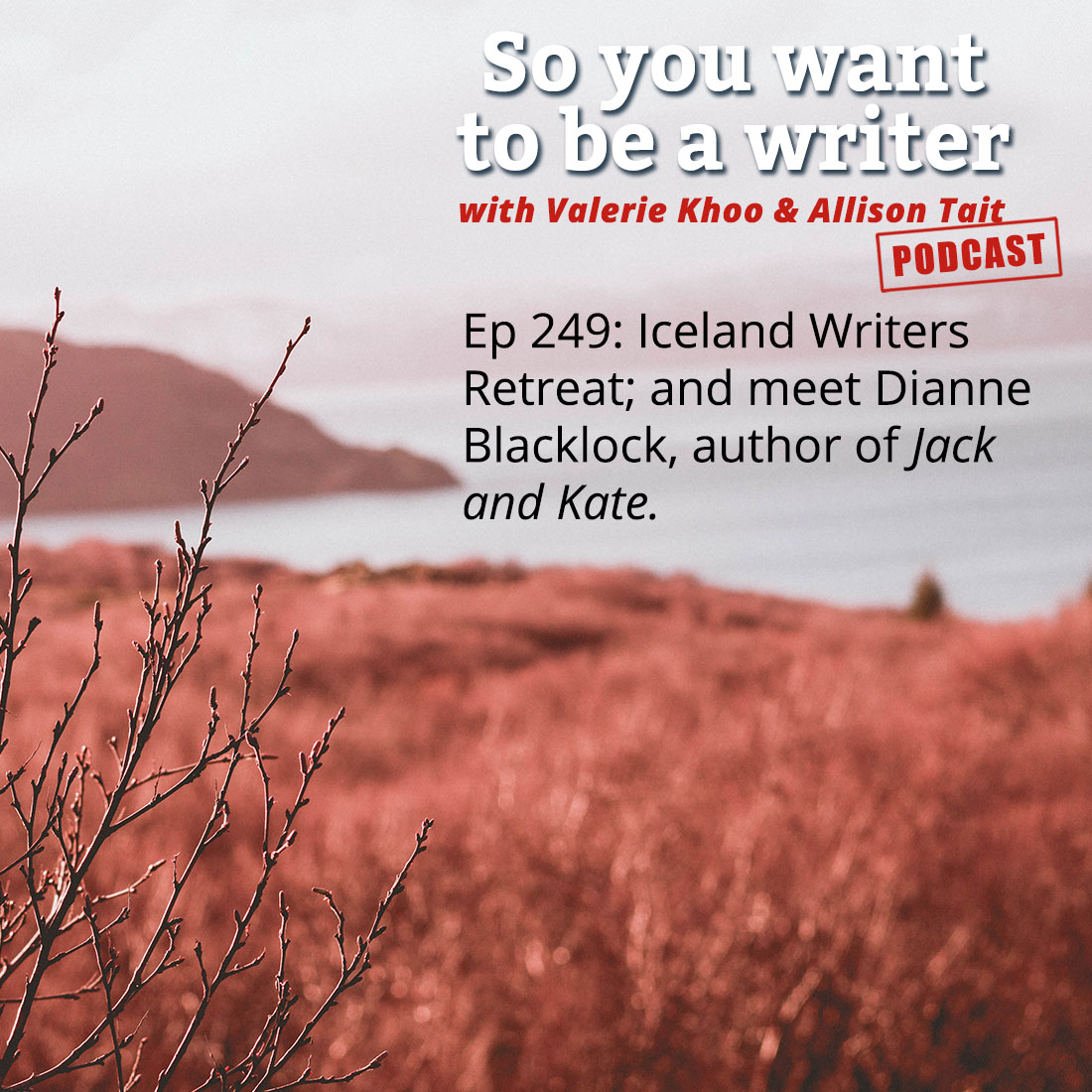 WRITER 249: Meet Dianne Blacklock, author of ‘Jack and Kate’.