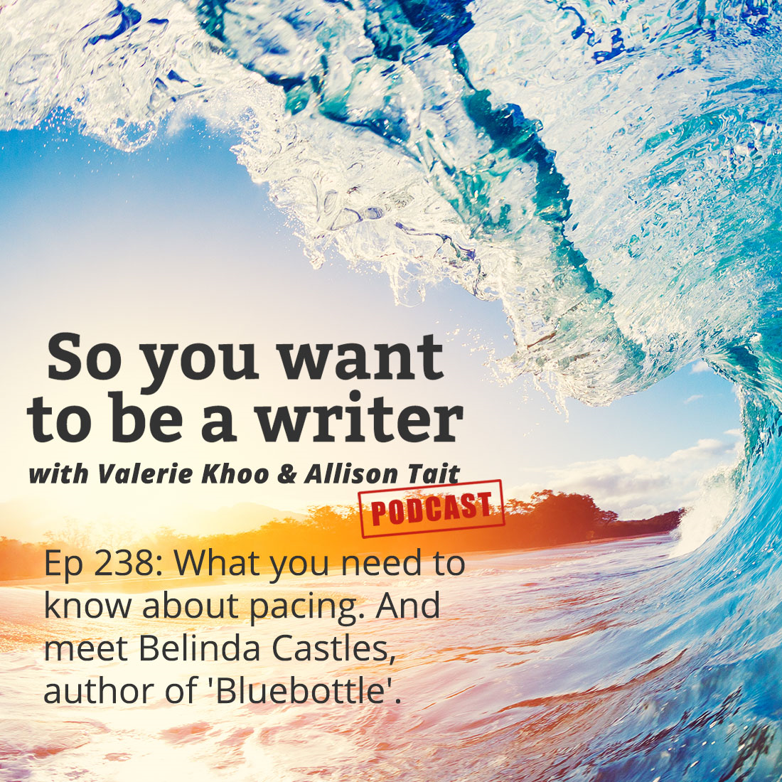 WRITER 238: Meet Belinda Castles, author of 'Bluebottle'.