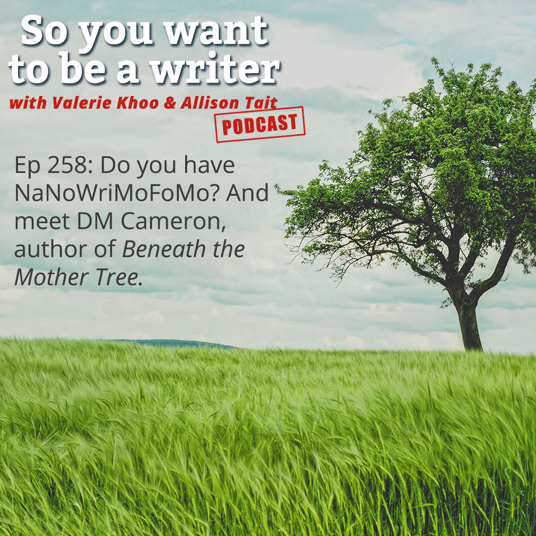 WRITER 258: Meet DM Cameron, author of ‘Beneath the Mother Tree’.