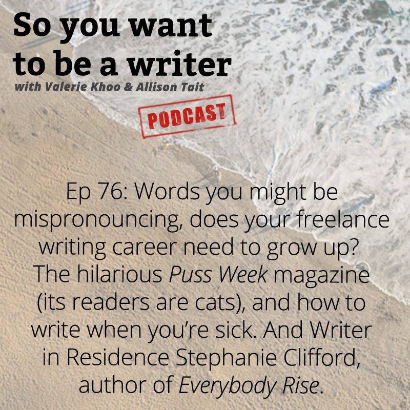 So You Want to be a Writer