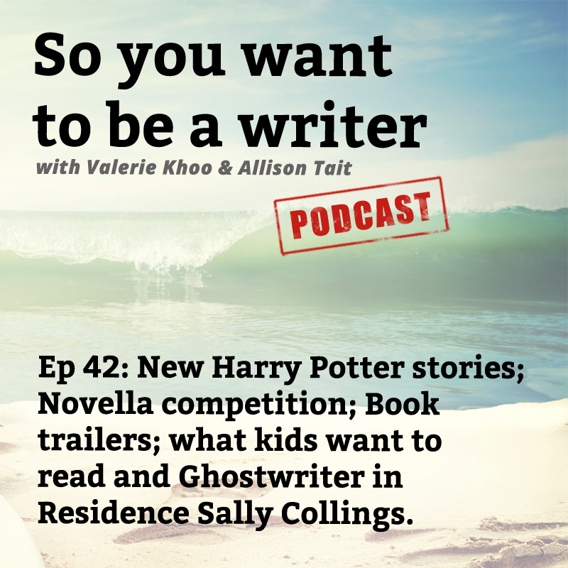 WRITER 042: We talk to ghostwriter Sally Collings, author of 'The Long Road to Overnight Success'