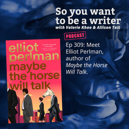 WRITER 309: Meet Elliot Perlman, author of 'Maybe the Horse Will Talk'.