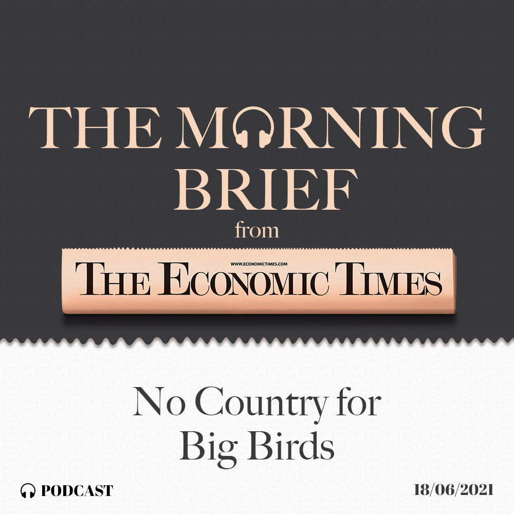 No Country for Big Birds