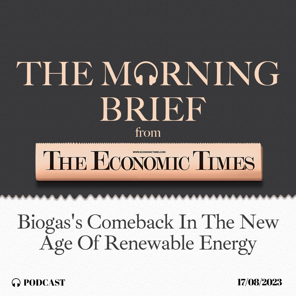 The Morning Brief
