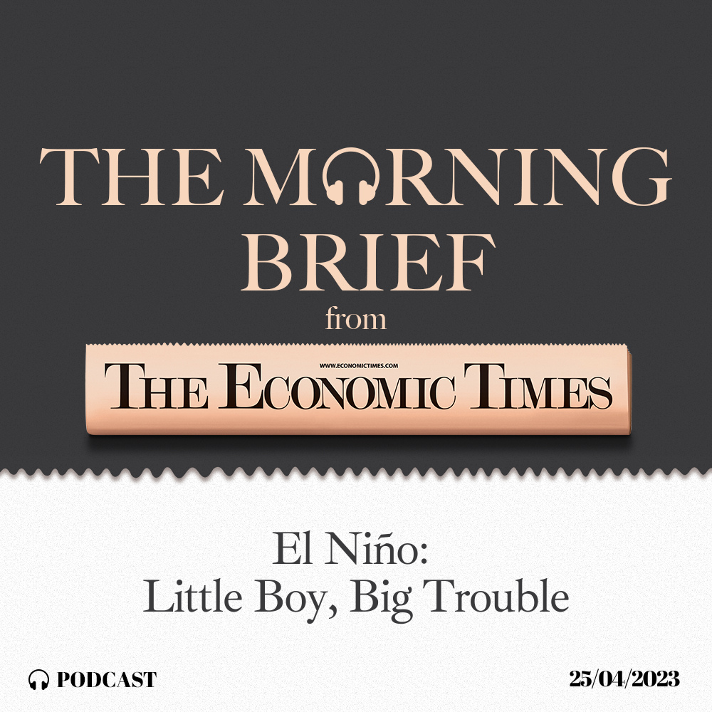 The Morning Brief