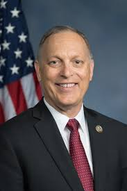 Congressman Andy Biggs explains why he wants to fire the nation's leading infectious disease expert