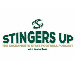 Episode 12-Stingers Up Podcast