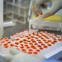 Arizona reports 151 new coronavirus cases, 7 more deaths