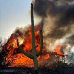 Brush fires in Cave Creek cost other departments thousands