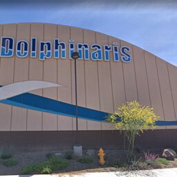 Dolphinaris replacement attraction won't include animals