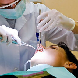 Dentists could help stop domestic violence