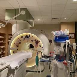 Phoenix Children's Hospital MRI prep class saves families time, money