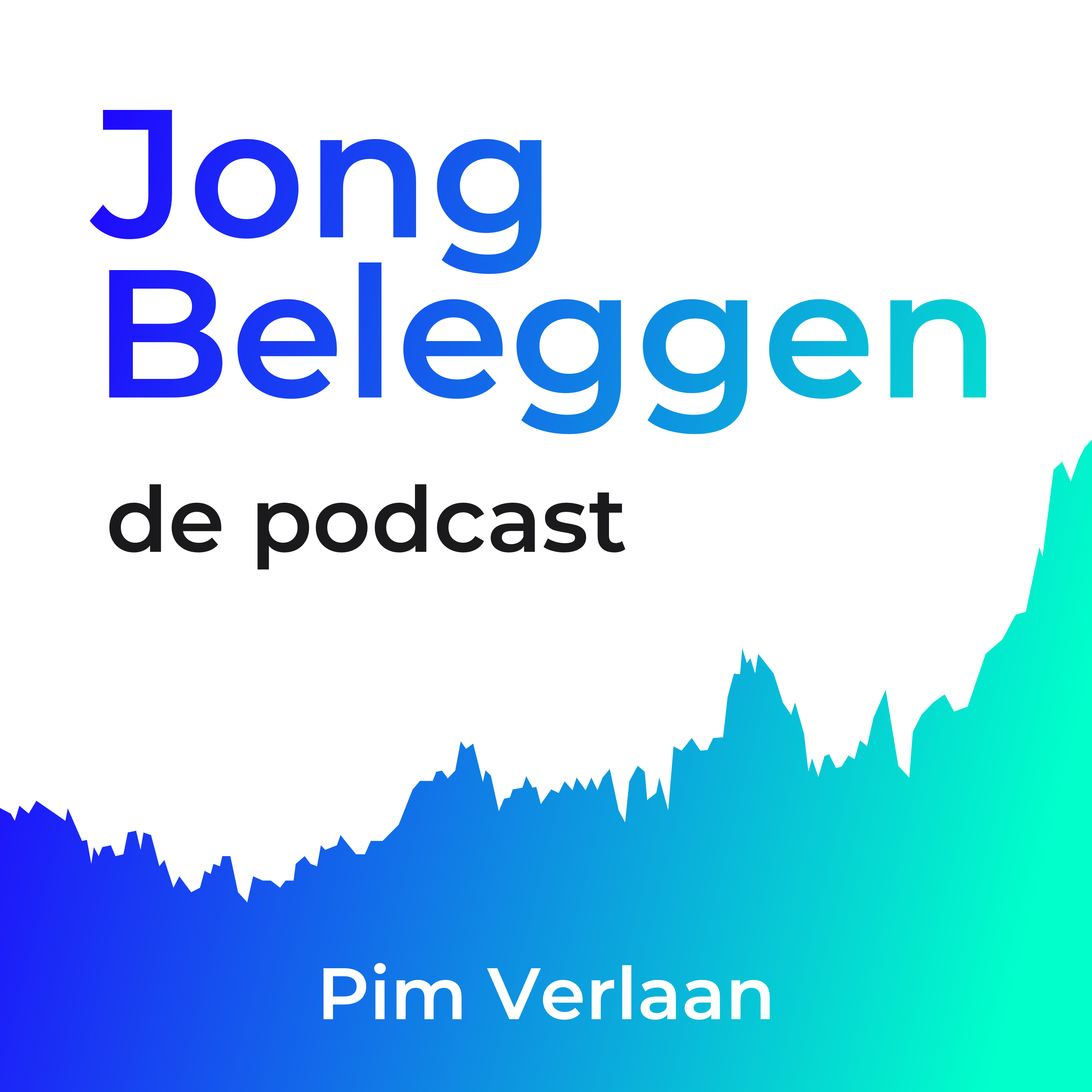 197. Je portfolio als spiegelbeeld | € 505.700