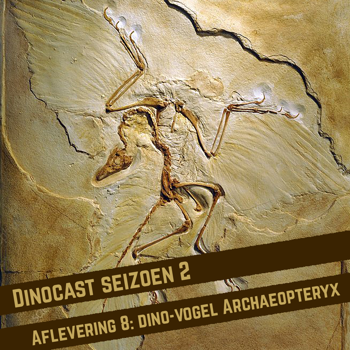 Dinocast - de dinosauriër podcast met Maarten van Rossem en Gijs Rademaker