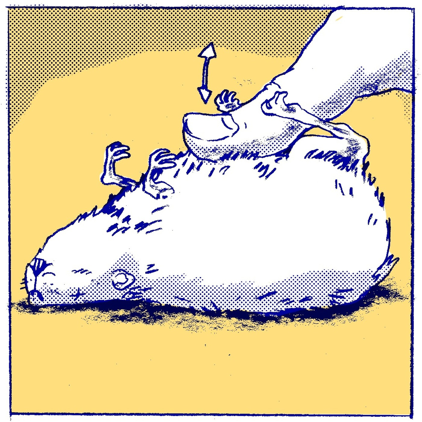 Stefanie, de dierenvriend episode artwork