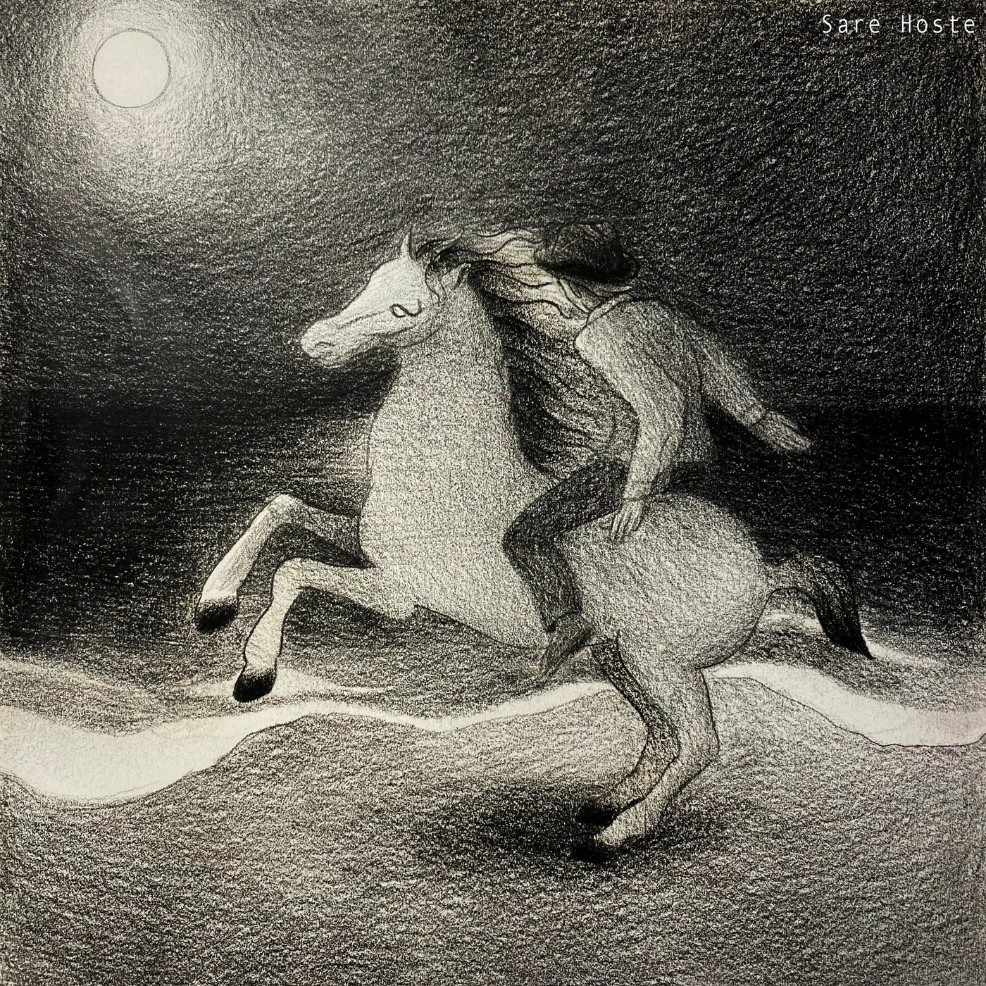 De pegasusvlucht van Dieter episode artwork