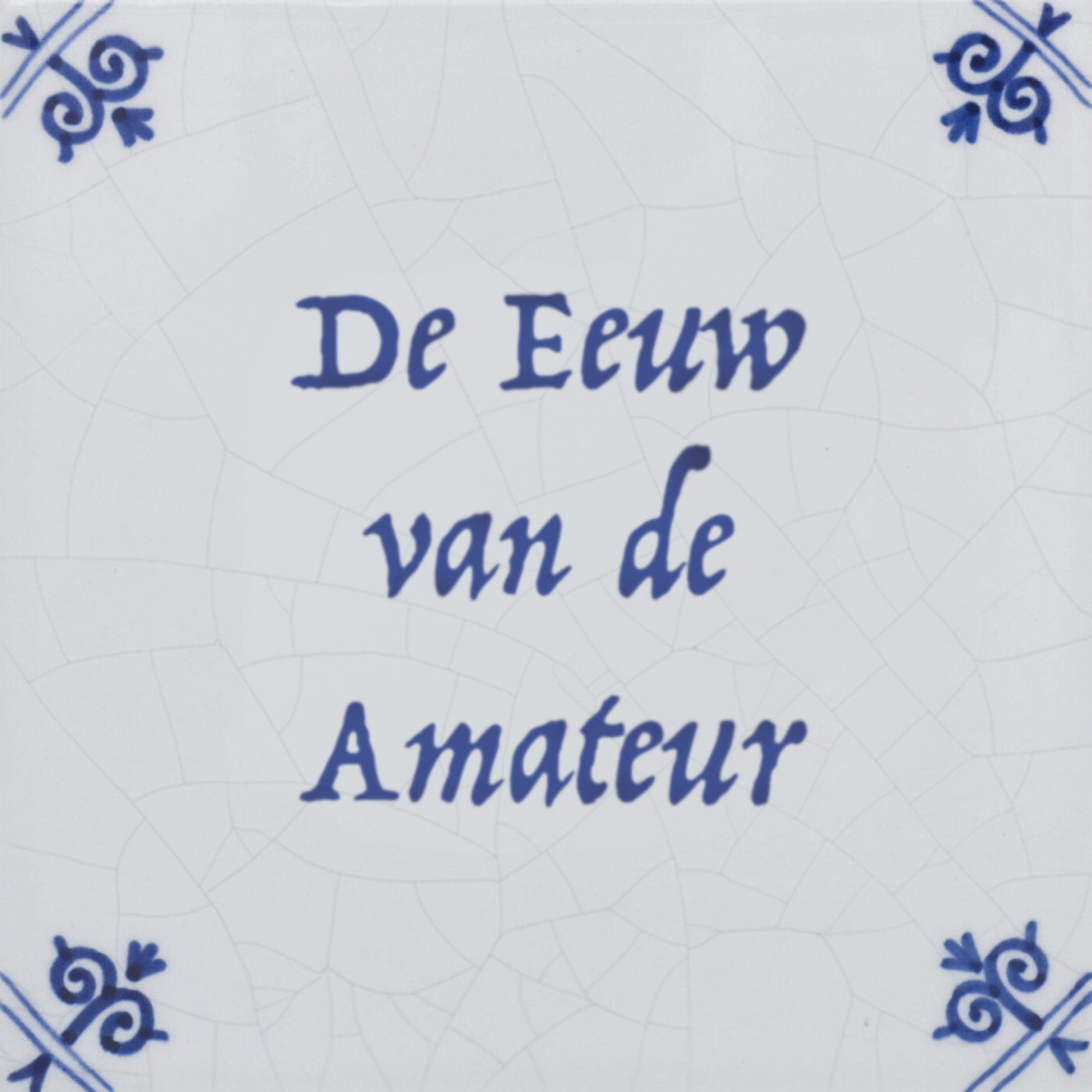 Naar Paulien in Delft episode artwork