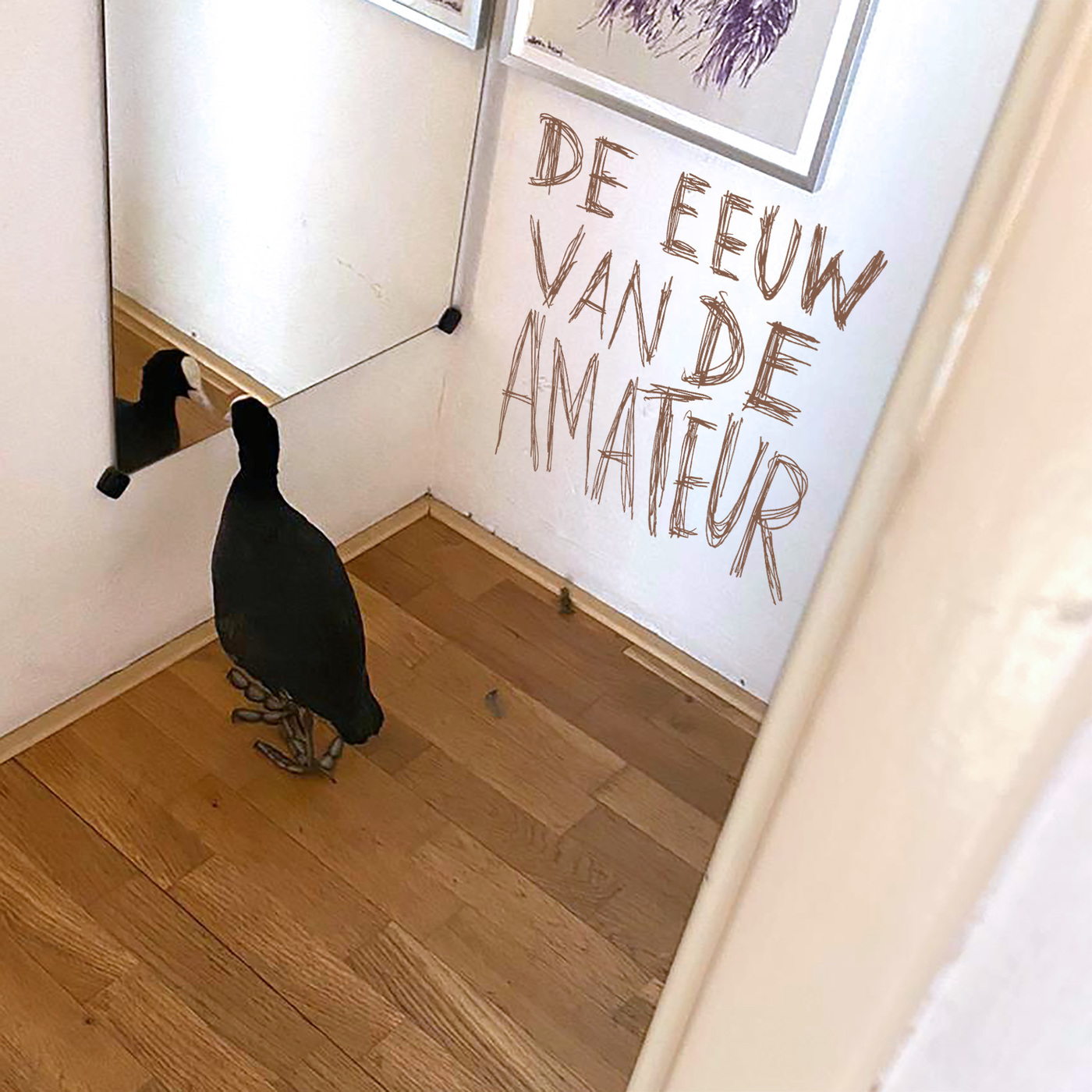 Een meerkoet in je huis episode artwork
